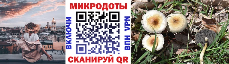 Купить  Краснотурьинск  Галлюциногенные грибы MAGIC MUSHROOMS 